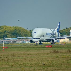 _DSC0009